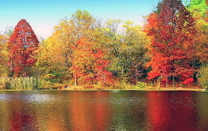 NYC: Things to do in the fall
